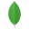 MongoDB
